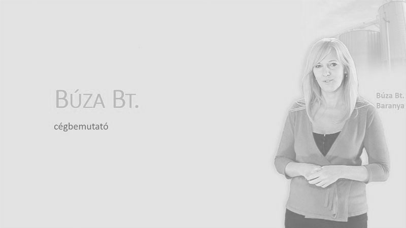 Powerpoint Oktatóvideó, Vetítés, , Vetítési beállítások, Diasorrend, dia elrejtése, egyéni sorrend, időzítés beállítása, két monitoros előadás, előadói nézet